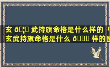 玄 🦈 武持旗命格是什么样的「玄武持旗命格是什么 🐟 样的图片」